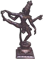 NATRAJ